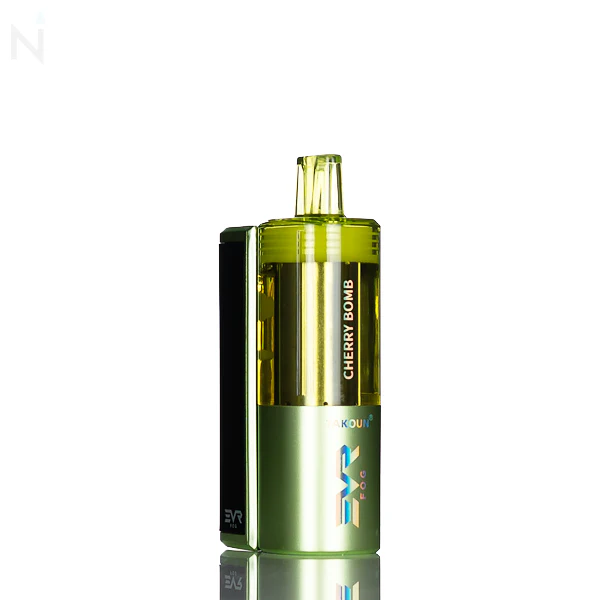 EVRFOG 100K Refillable Disposable Kit - Image 13