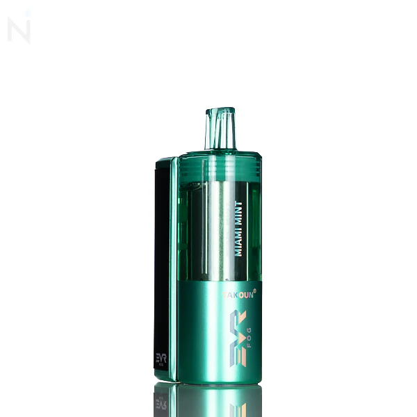 EVRFOG 100K Refillable Disposable Kit - Image 19