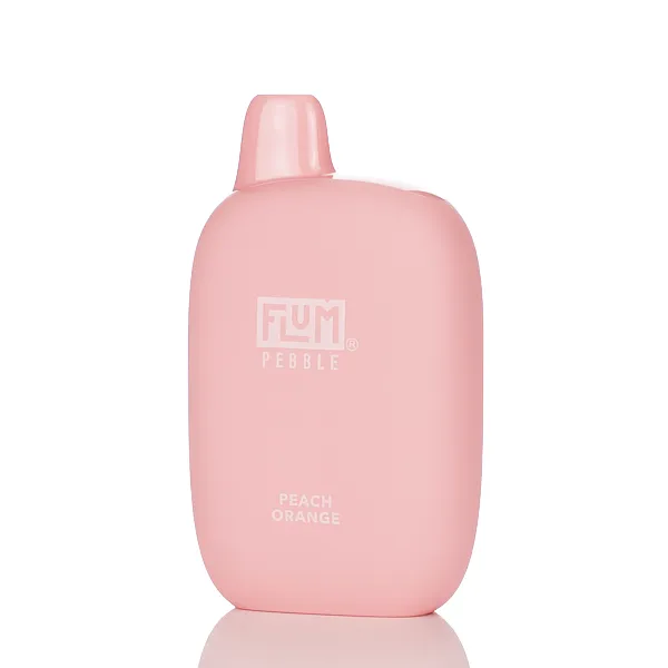 Flum Pebble 6000 Puffs Disposable Vape - 14ML - Image 24