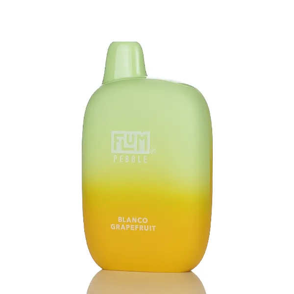 Flum Pebble 6000 Puffs Disposable Vape - 14ML - Image 35