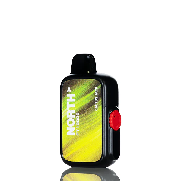 North FT12K 12000 Puffs Disposable Vape - Image 10