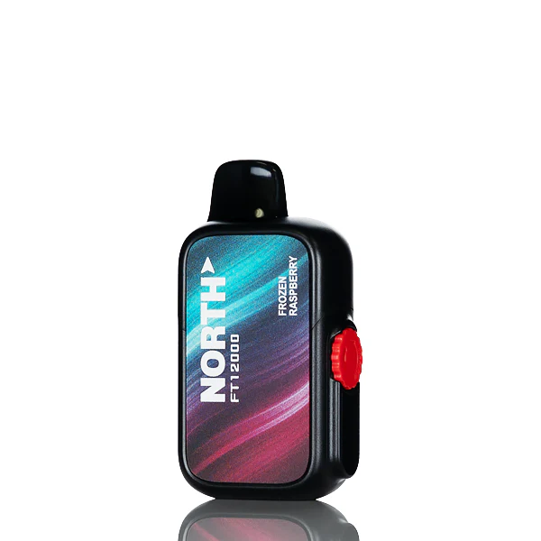 North FT12K 12000 Puffs Disposable Vape - Image 13