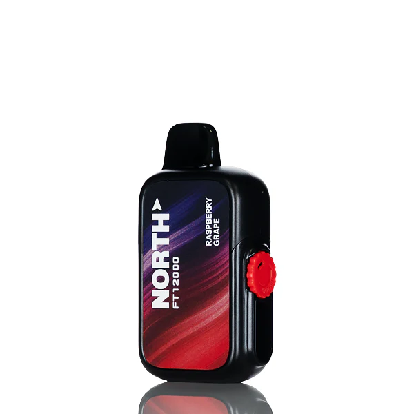 North FT12K 12000 Puffs Disposable Vape - Image 9