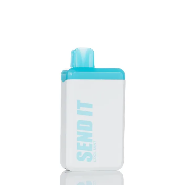 Send It 5000 Puffs Rechargeable Disposable Vape - 12ML (DISCONTINUED) - Image 10