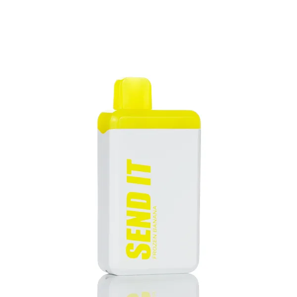 Send It 5000 Puffs Rechargeable Disposable Vape - 12ML (DISCONTINUED) - Image 11