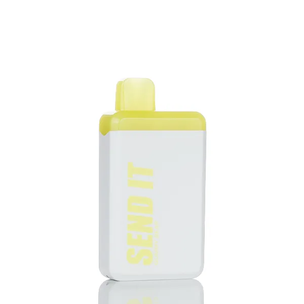Send It 5000 Puffs Rechargeable Disposable Vape - 12ML (DISCONTINUED) - Image 13