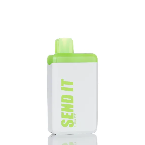 Send It 5000 Puffs Rechargeable Disposable Vape - 12ML (DISCONTINUED) - Image 15