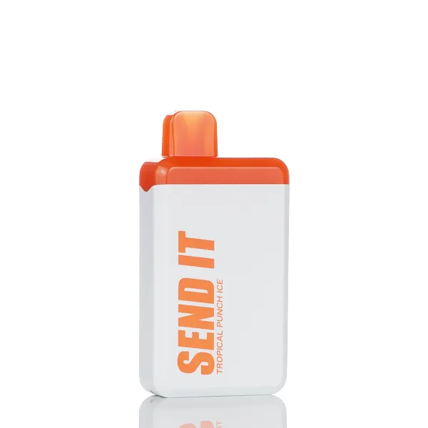 Send It 5000 Puffs Rechargeable Disposable Vape - 12ML (DISCONTINUED) - Image 19